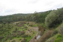 Ruta Turística
