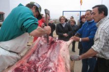 V Matanza Popular 