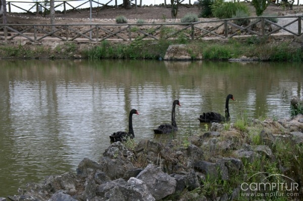 Parque y Reserva Las Quinientas